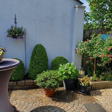 B&B Carpe Diem Eijsden Exteriér fotografie